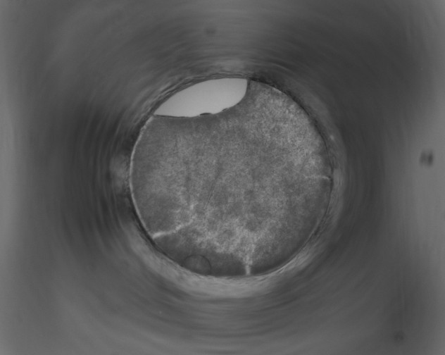 X0000115660048200912241408