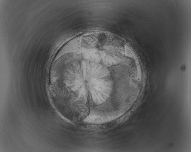 X0000115660049200912241407