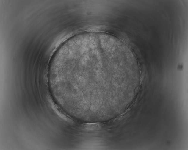 X0000115660050200912241407