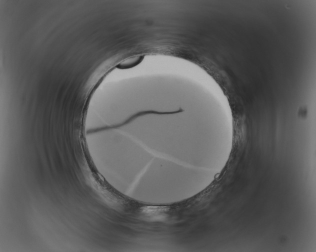 X0000115660051200912241407