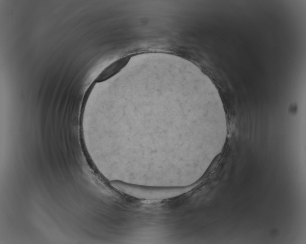 X0000115660052200912241407
