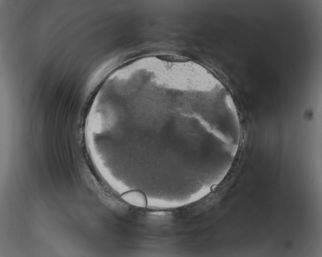 X0000115660053200912241407