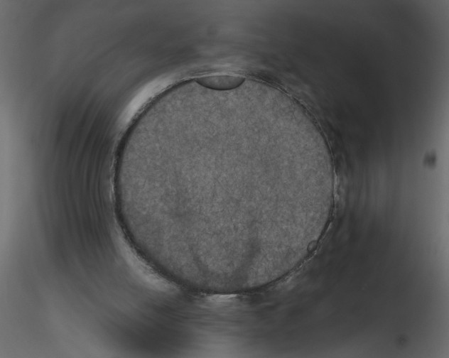 X0000115660054200912241407
