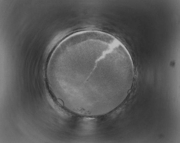 X0000115660055200912241407