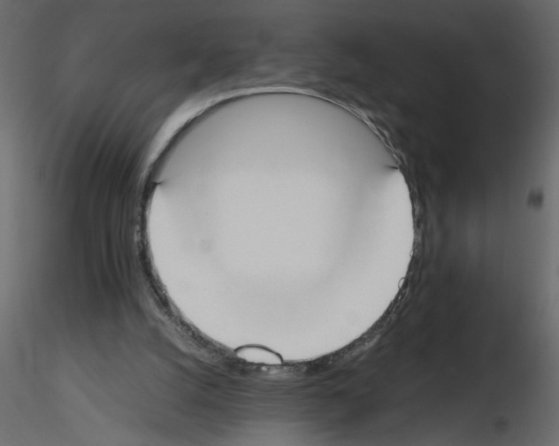 X0000115660056200912241407
