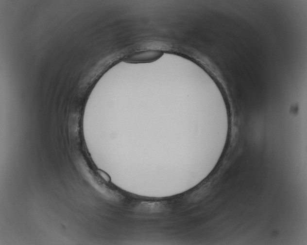 X0000115660057200912241407