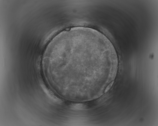 X0000115660058200912241407