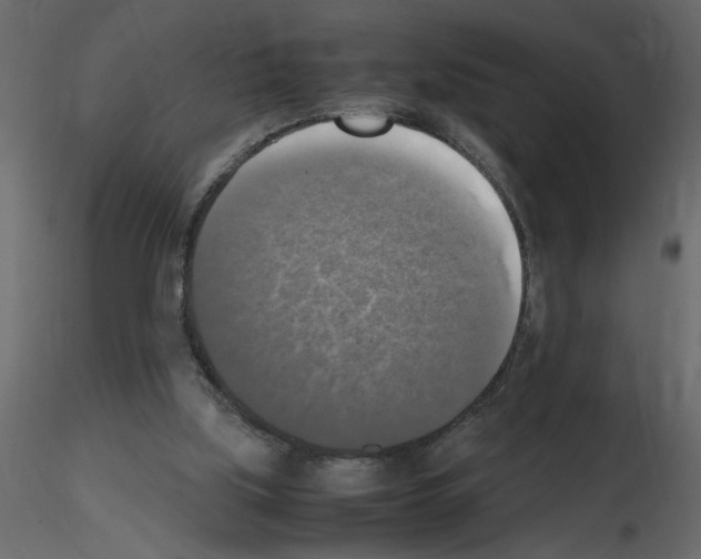 X0000115660059200912241407