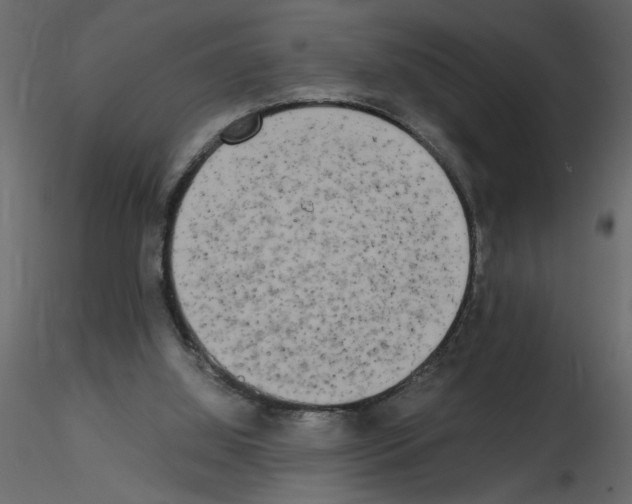 X0000115660060200912241407