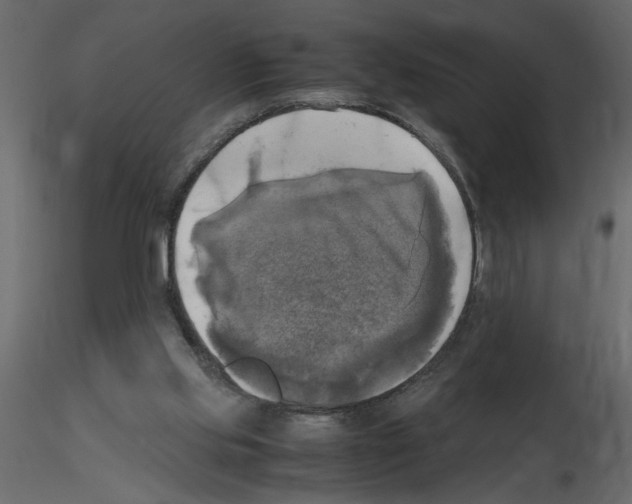 X0000115660061200912241407