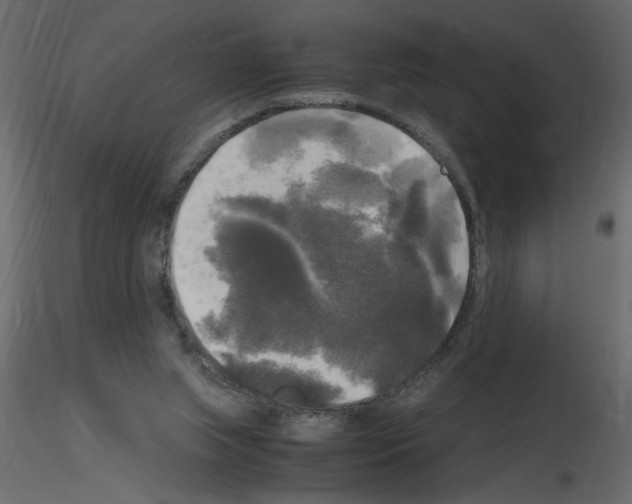 X0000115660063200912241407