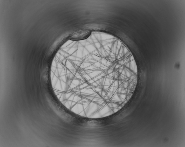X0000115660064200912241407