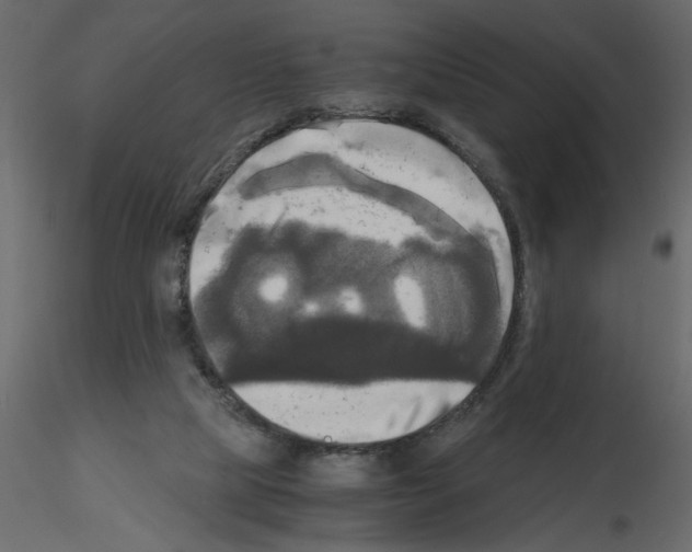 X0000115660065200912241407