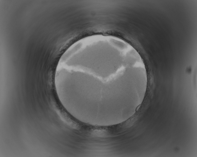 X0000115660066200912241407