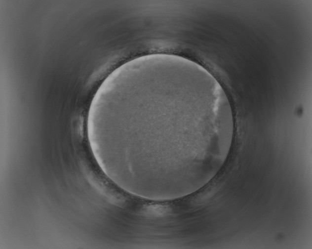X0000115660067200912241407