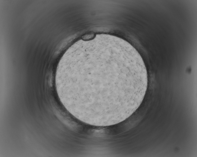 X0000115660068200912241407