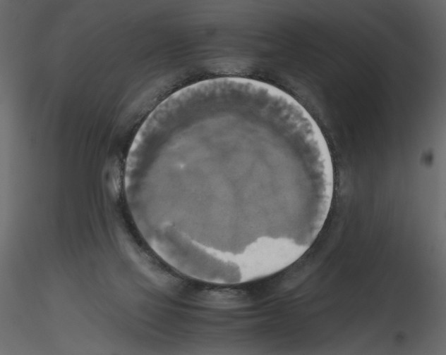 X0000115660069200912241407