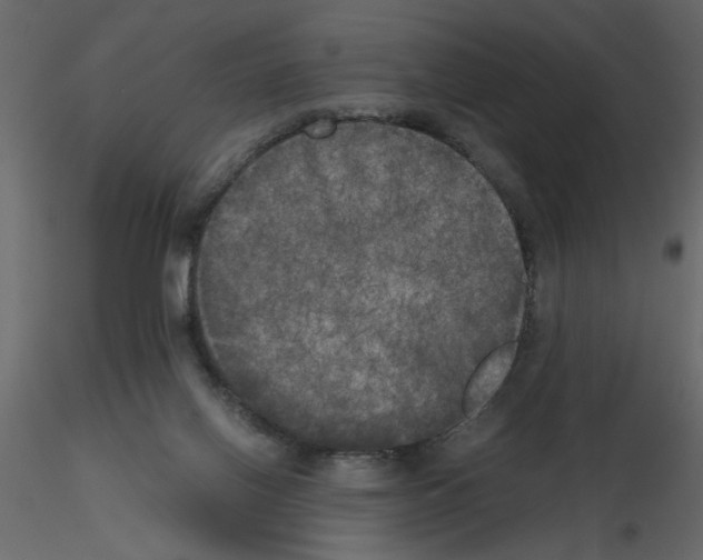 X0000115660070200912241407