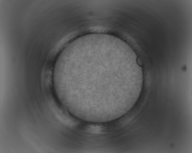 X0000115660071200912241407