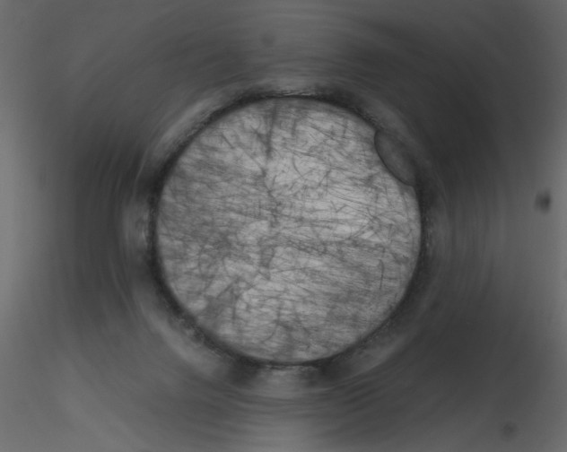 X0000115660072200912241407