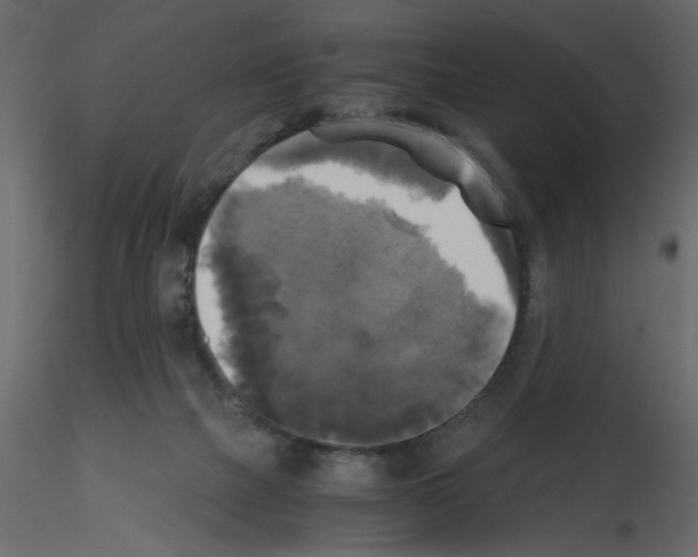 X0000115660073200912241407
