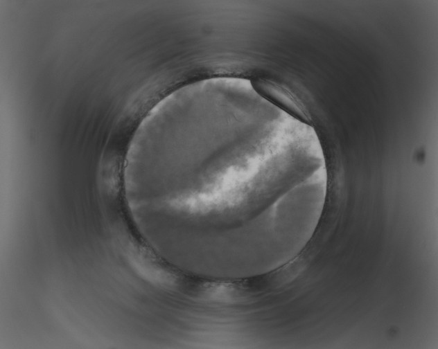 X0000115660074200912241407