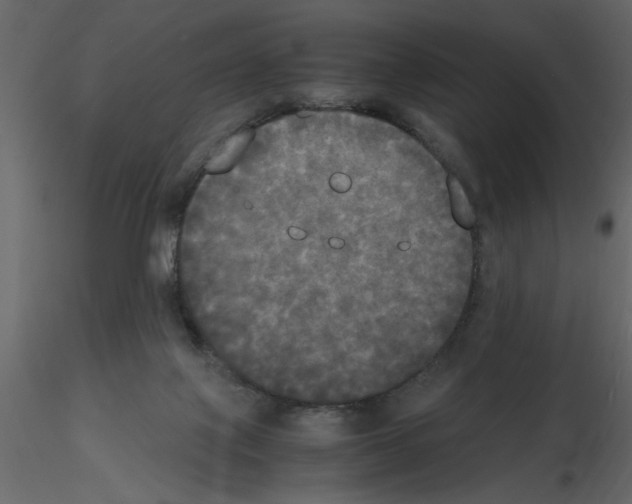 X0000115660075200912241407