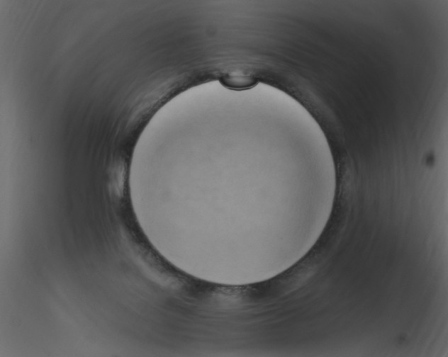 X0000115660076200912241407