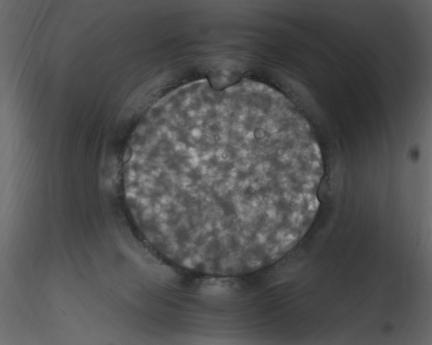 X0000115660077200912241407