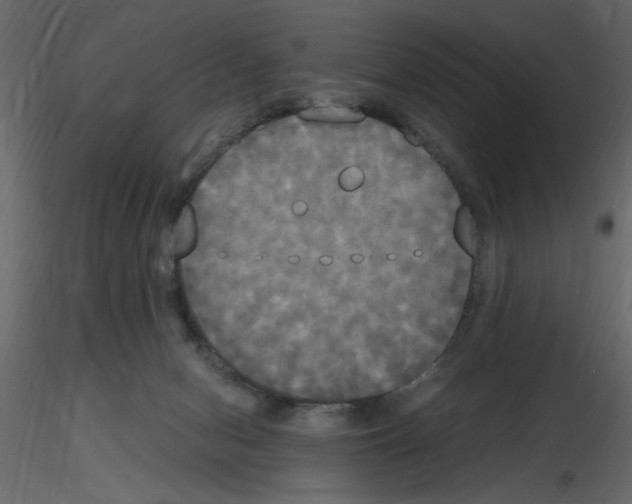X0000115660078200912241407