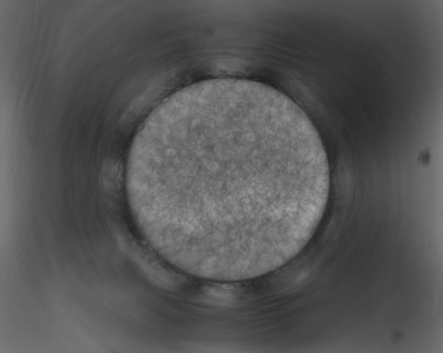 X0000115660079200912241407