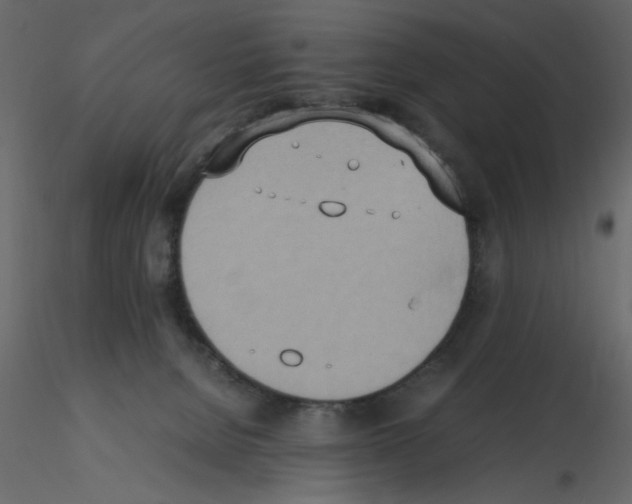 X0000115660080200912241407