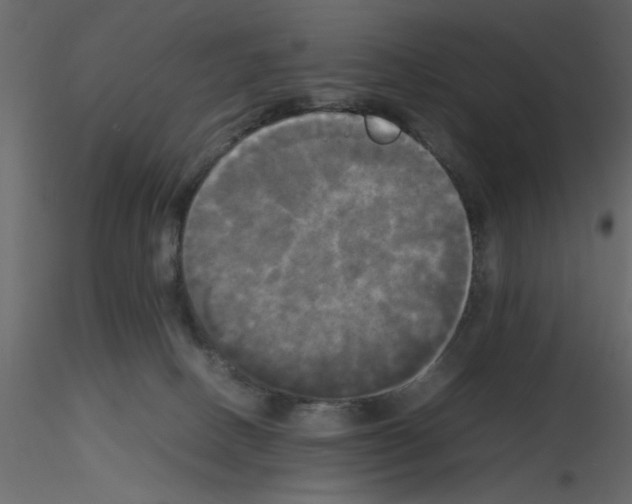 X0000115660082200912241408