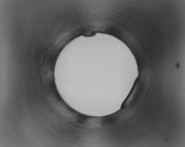 X0000115660084200912241408