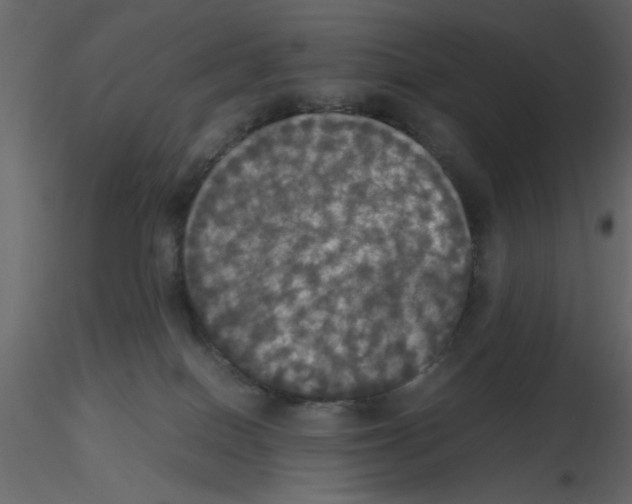 X0000115660086200912241408