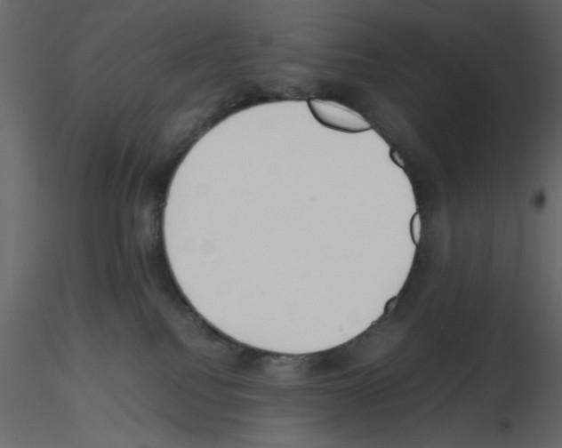 X0000115660088200912241408