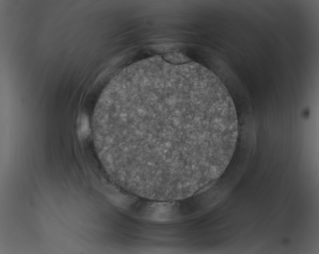 X0000115660089200912241408