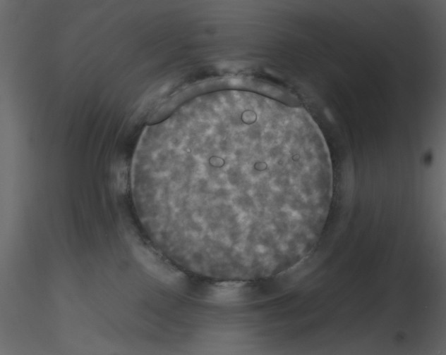 X0000115660090200912241408