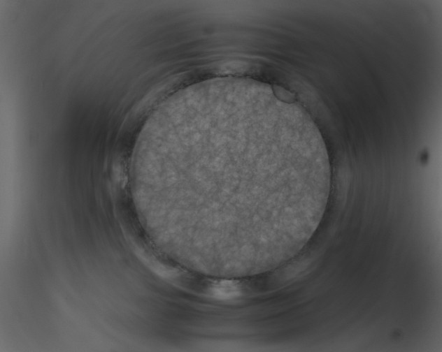 X0000115660091200912241408