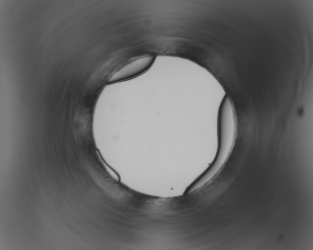 X0000115660092200912241408