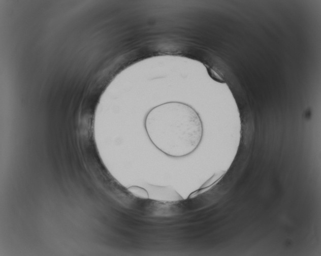 X0000115660093200912241408