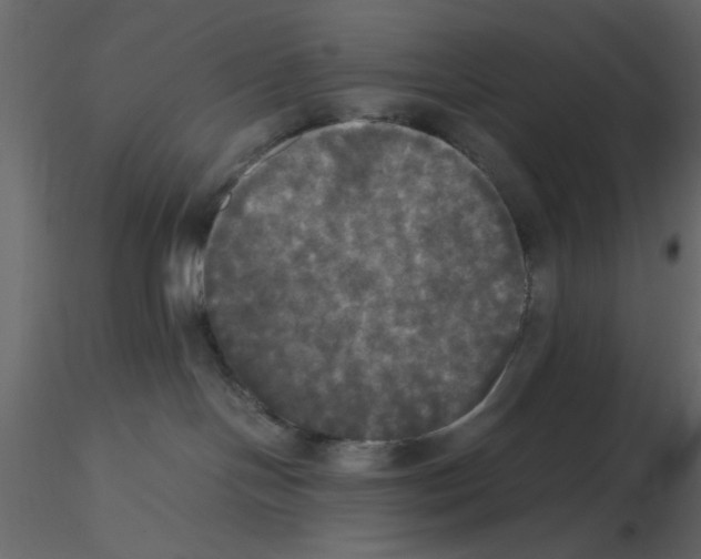 X0000115660094200912241408
