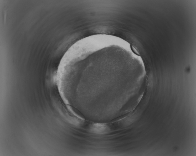 X0000115660095200912241408