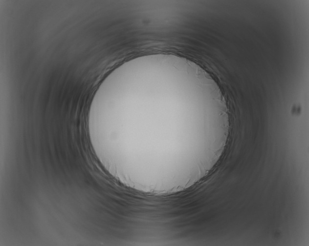X0000115660096200912241408