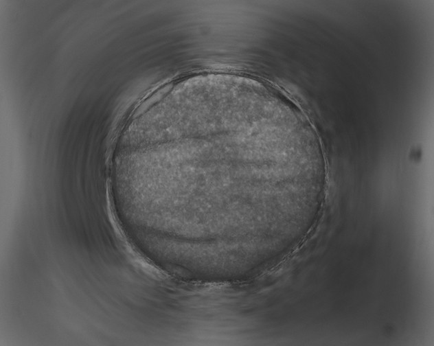 X0000115660097200912241407
