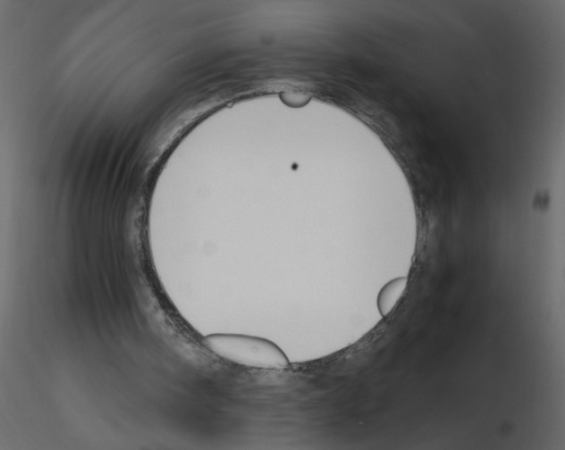 X0000115660098200912241407