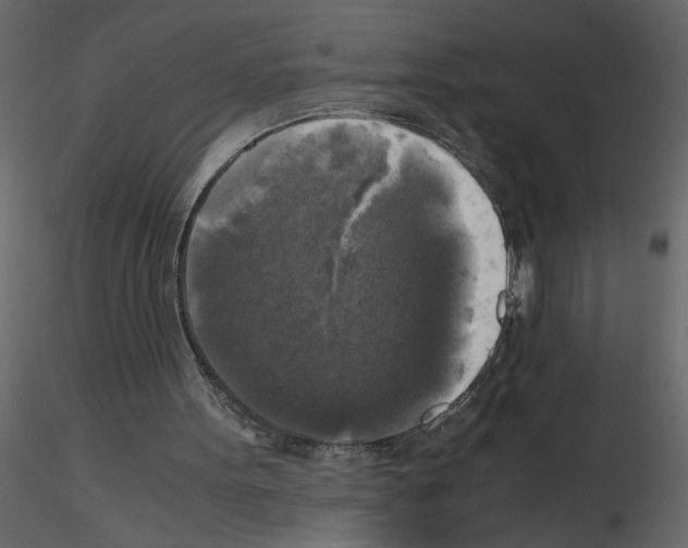 X0000115660099200912241407