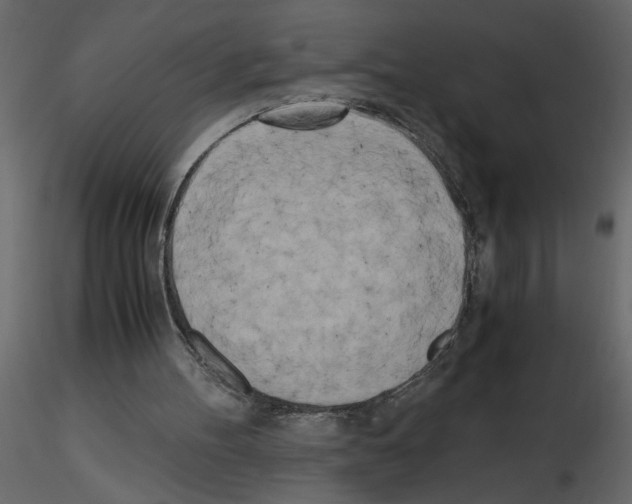 X0000115660100200912241407