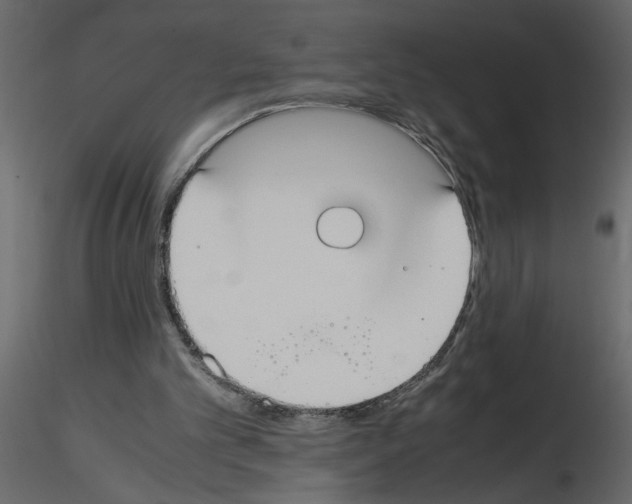 X0000115660101200912241407