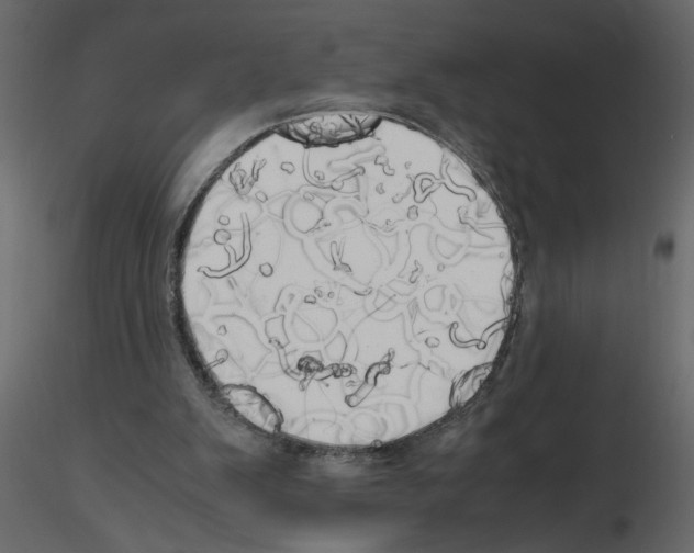 X0000115660103200912241407